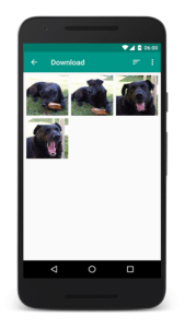 Le migliori gallerie fotografiche per Android picnic 2