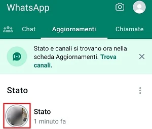 è evidenziata l'immagine di uno stato di whatsapp