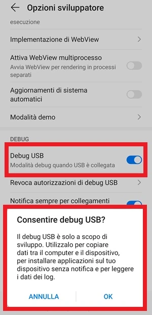 dalle opzioni sviluppatore con un riquadro rosso ciascuno sono evidenziate le voci debug usb e consentire debug usb? 