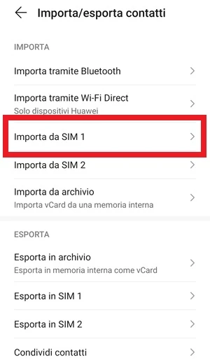 riquadro evidenziato su importa da sim 1