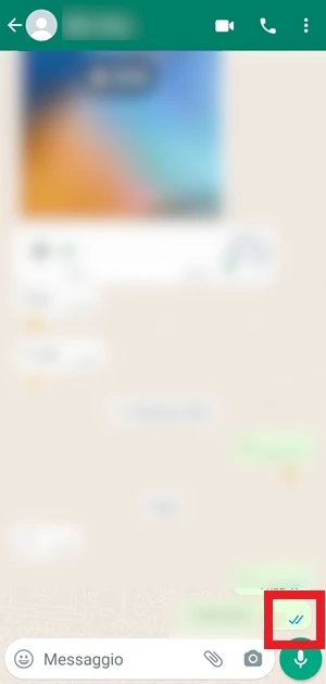 in chat su whatsapp i 2 segni di spunta sono diventati blu