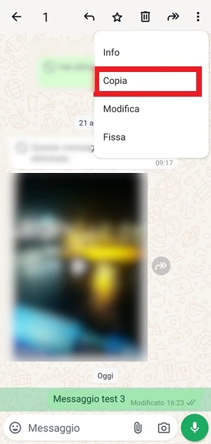 la voce copia di Whatsapp è evidenziata con un riquadro in rosso