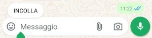 su whatsapp nella barra dove si digitano i messaggi è visibile la voce incolla