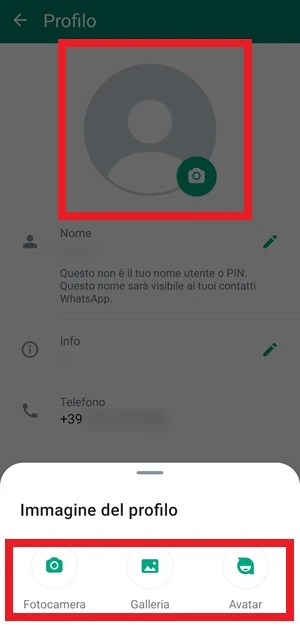 su whatsapp con un riquadro rosso sono evidenziati l'immagine di profilo e le icone fotocamera, galleria, avatar